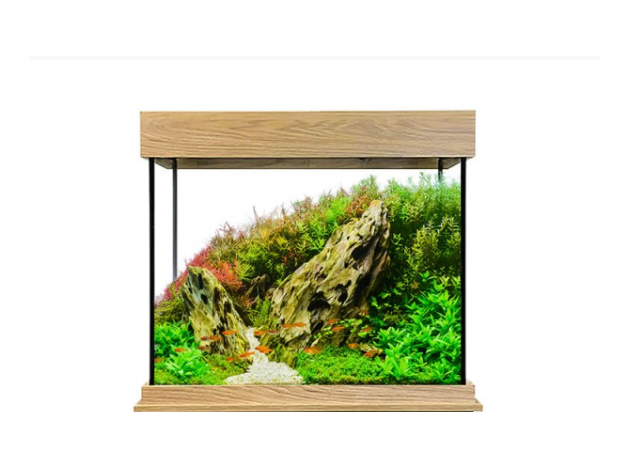 Set Acuario Fluval Shaker 168 l + Mesa