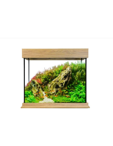 Set Acuario Fluval Shaker 168 l + Mesa
