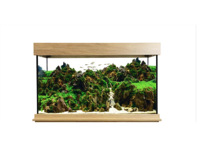 Set Fluval Shaker Acuario 252 l + Mesa