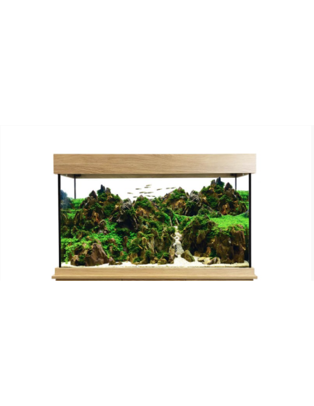 Set Fluval Shaker Acuario 252 l + Mesa