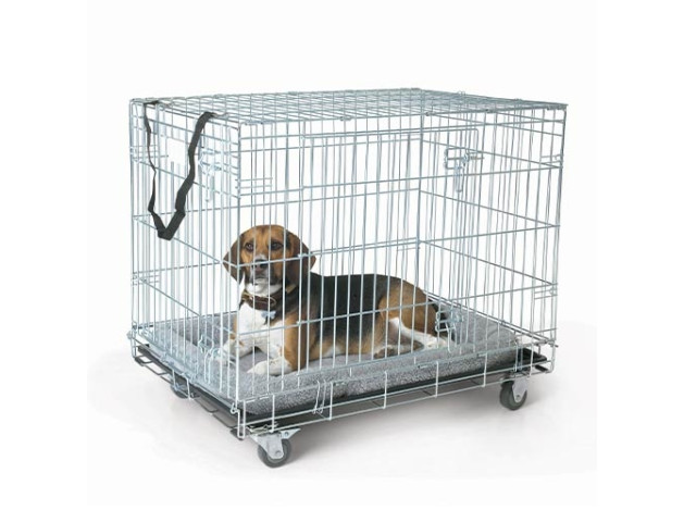 Juego de ruedas para las jaulas