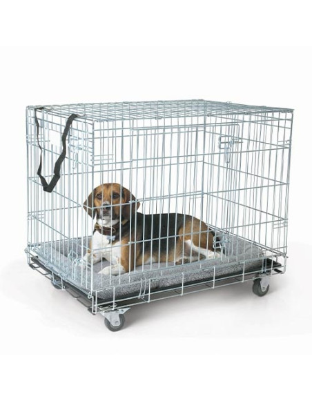 Juego de ruedas para las jaulas