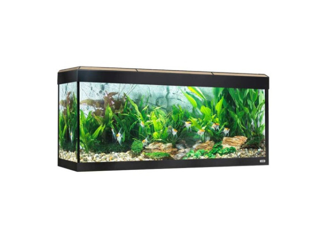 FLUVAL  ROMA 240 Acuario + Mesa Nogal