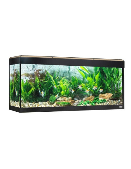 FLUVAL  ROMA 240 Acuario + Mesa Nogal