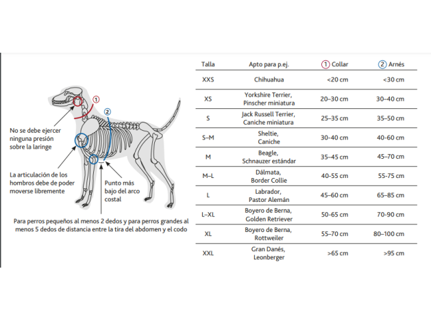Arnés Confort New Premium Verde Selva