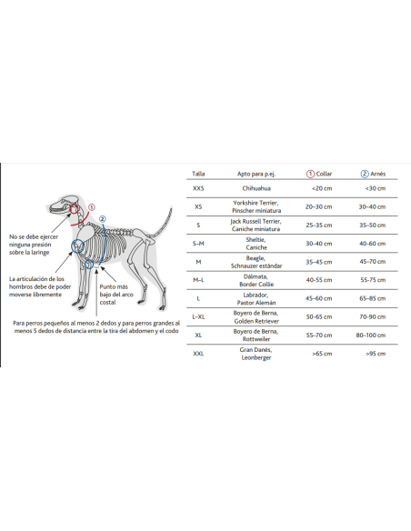 Arnés Confort New Premium Verde Selva