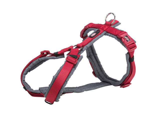 Premium Arnés Trekking