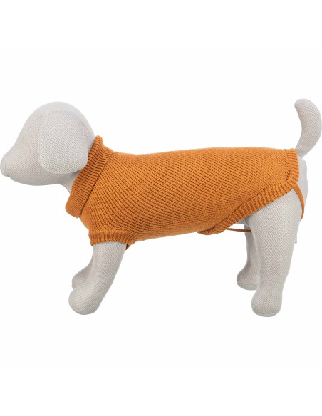 Trixie Jersey Berlín estilo urbano