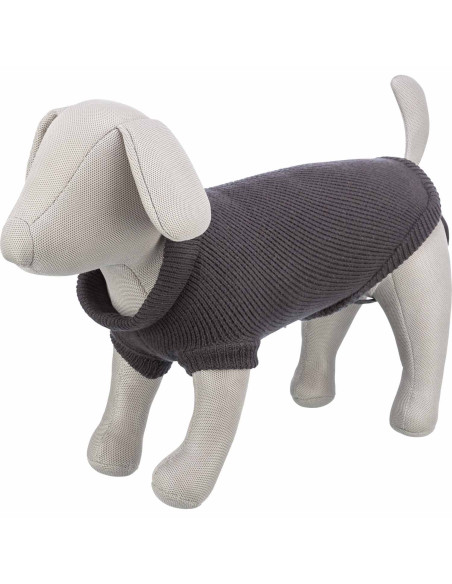 Trixie Jersey Berlín estilo urbano