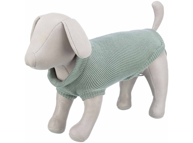 Trixie Jersey Berlín estilo urbano