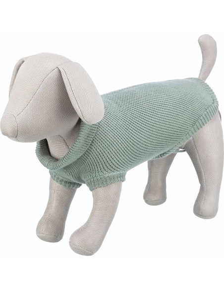 Trixie Jersey Berlín estilo urbano