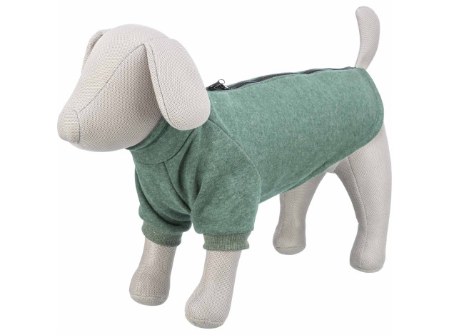 Sudadera Amsterdam estilo urbano