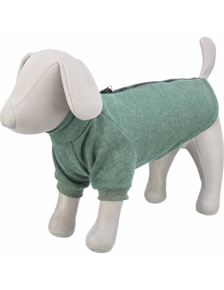 Sudadera Amsterdam estilo urbano