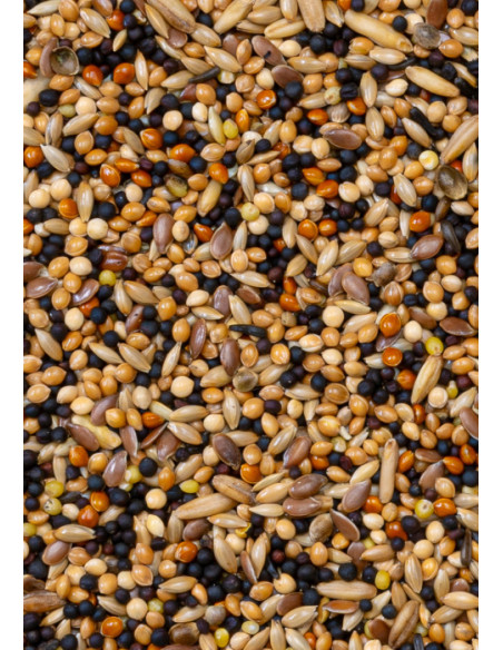 Mixtura Aviario Premium