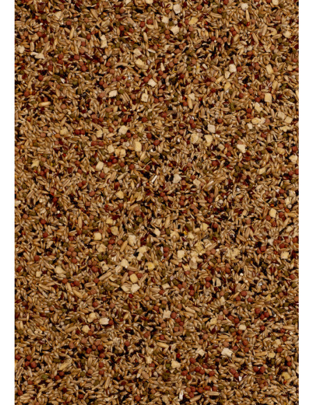 Mixtura para Canarios Menú 5*