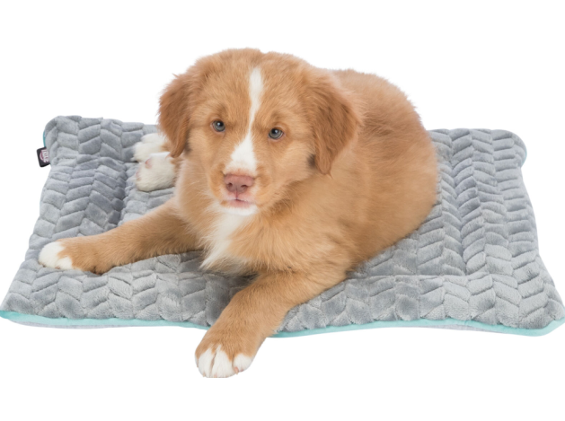 Junior Colchoneta para perros