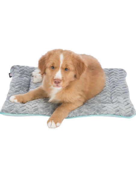 Junior Colchoneta para perros