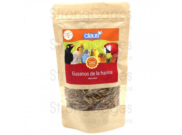 Gusanos de la harina para aves