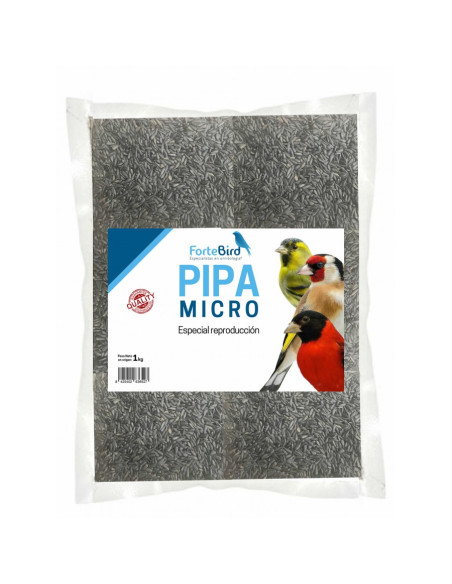 Pipa micro negra (Fortebird)