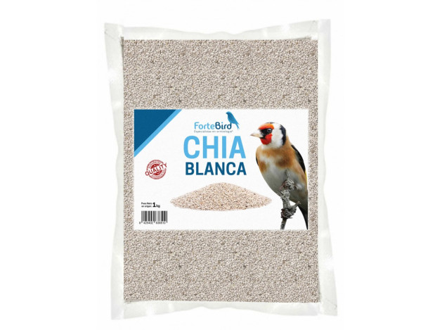 Chia Blanca Fortebird