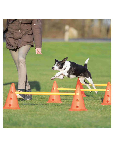 Set de Obstáculos Agility para perros