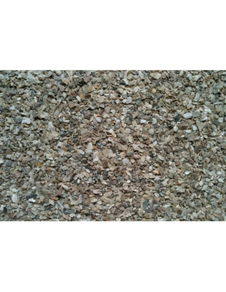 Grit Concha de Ostra extra fino 25kg