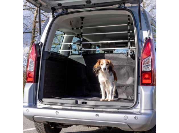 Barras Protectoras Coche