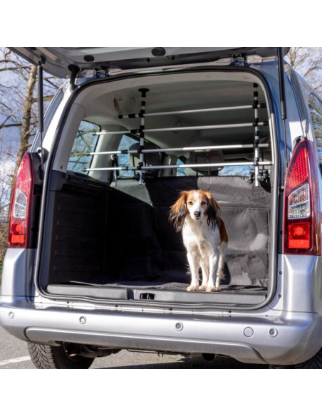 Barras Protectoras Coche