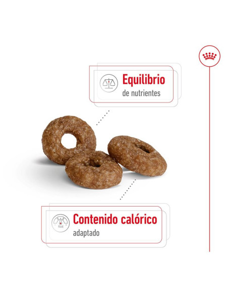 Royal Canin X-Small Ageing +12