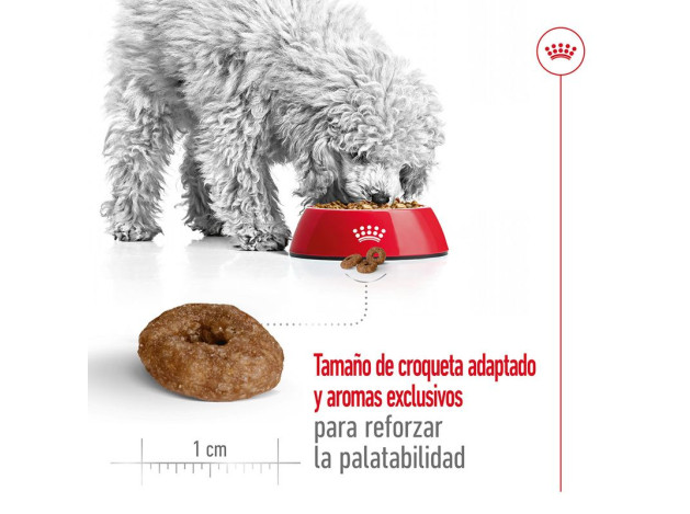 Royal Canin X-Small Ageing +12