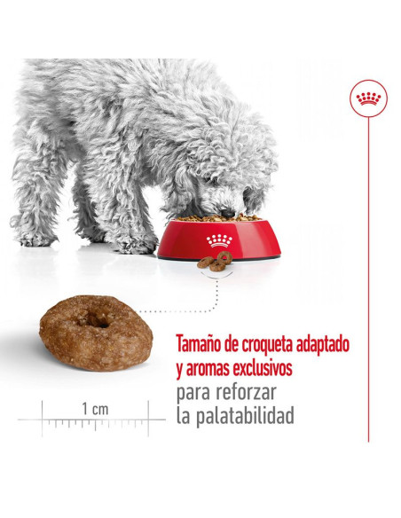 Royal Canin X-Small Ageing +12