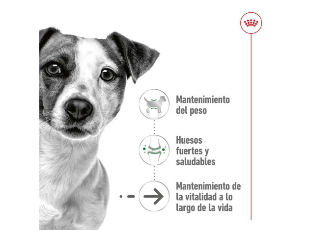 Royal Canin X-Small Ageing +12