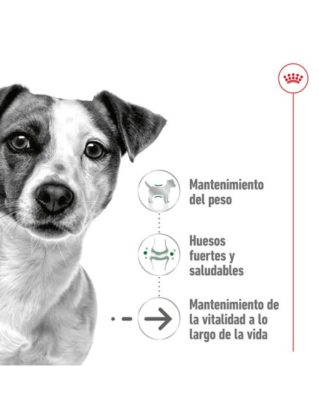 Royal Canin X-Small Ageing +12