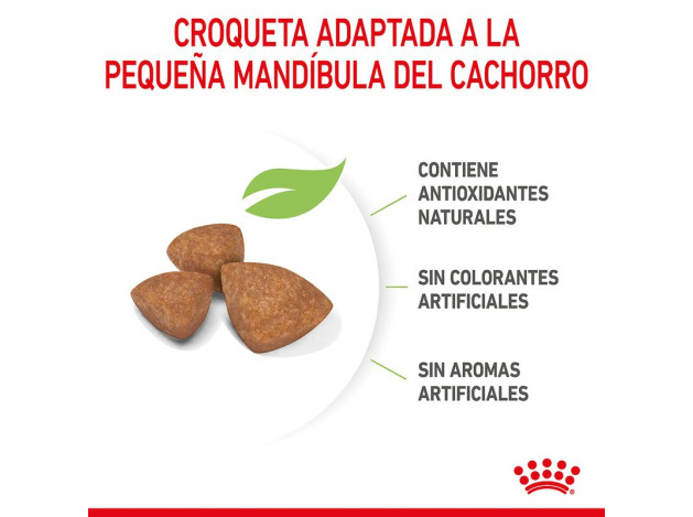 Royal Canin X-Small Puppy pienso para perros...