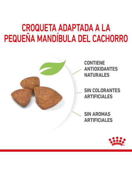 Royal Canin X-Small Puppy pienso para perros hasta 3kg