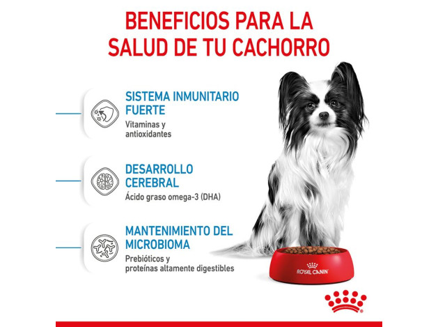 Royal Canin X-Small Puppy pienso para perros...