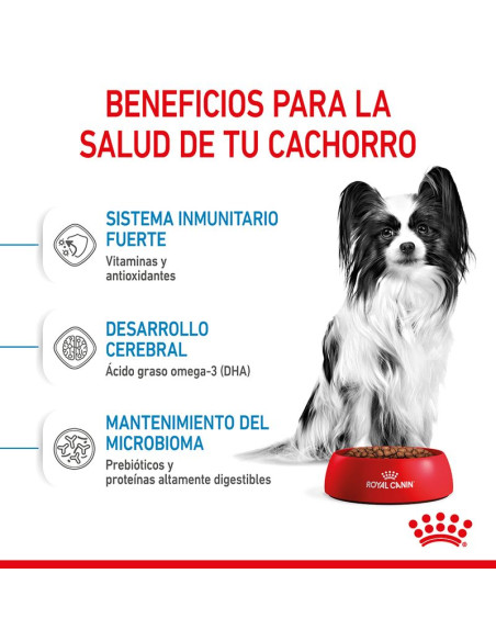 Royal Canin X-Small Puppy pienso para perros hasta 3kg
