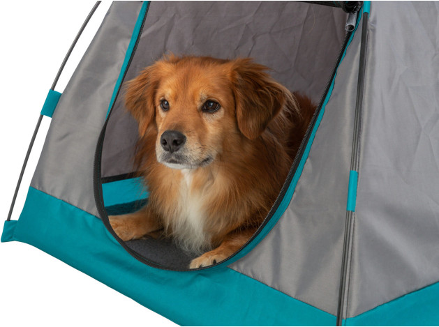Tienda de campaña para mascotas