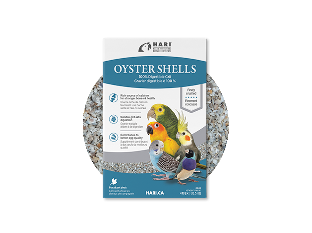 Hari Oyster Shells 440 g (Conchas)