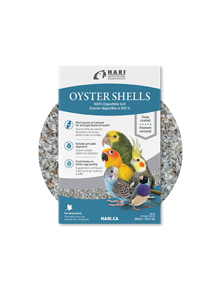 Hari Oyster Shells 440 g (Conchas)