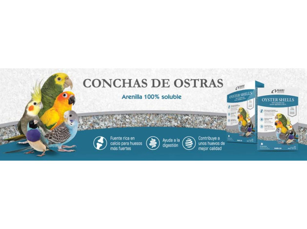 Hari Oyster Shells 440 g (Conchas)