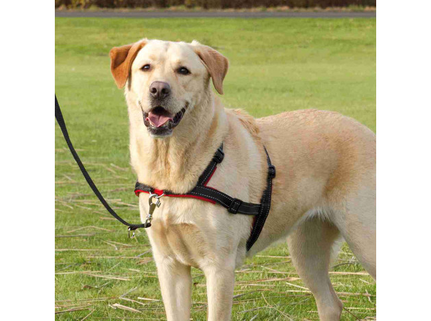 trixie Arnés Guía Lead'n'Walk Soft