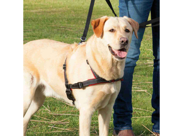 trixie Arnés Guía Lead'n'Walk Soft