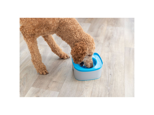 Bebedero Viaje Strong