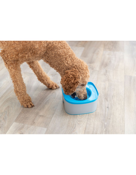 Bebedero Viaje Strong