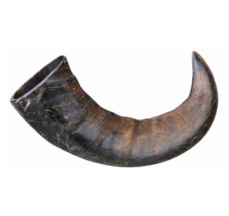 Astas de Búfalo Masticables - Pack de 6 unidades