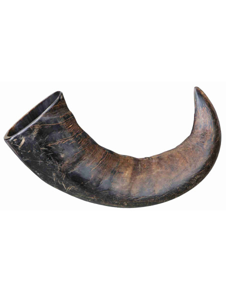 Astas de Búfalo Masticables - Pack de 6 unidades