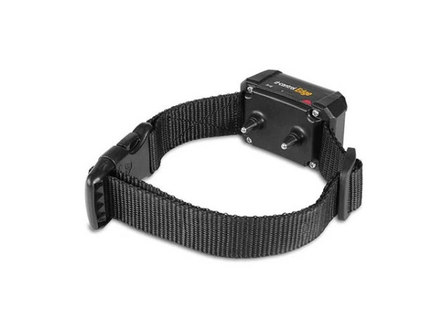 DogTrace EDGE - Collares adicionales