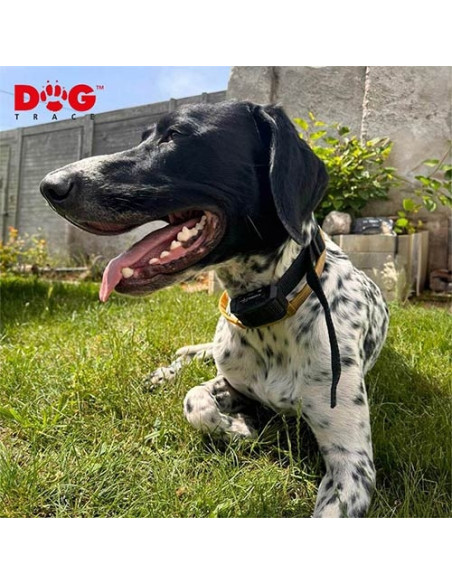 DogTrace EDGE 250, 450 y 650