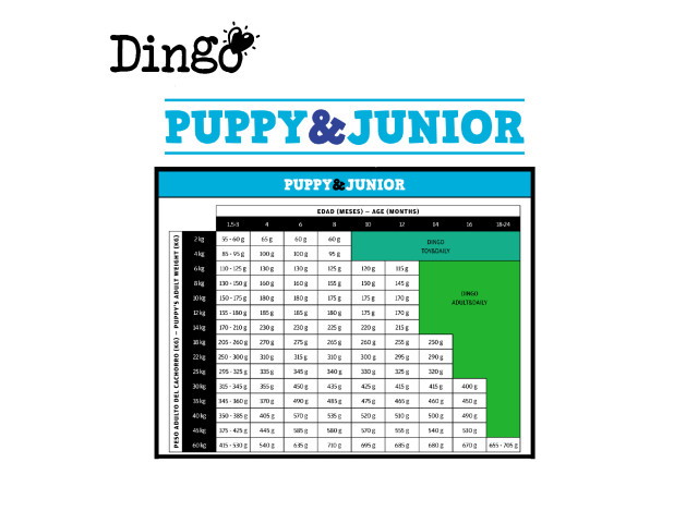 Dingo Pienso Puppy & Junior para Cachorros y...